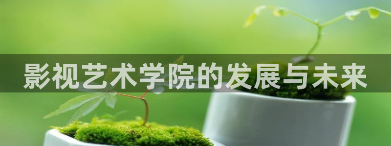 西瓜影院在线观看免费