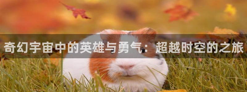 西瓜影院理伦片