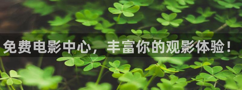 电视剧西瓜影院