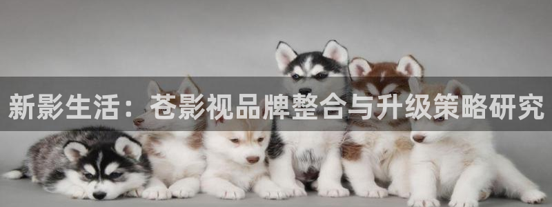 潜伏电视剧西瓜影院